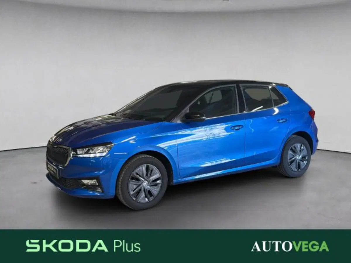 Skoda Fabia usata a Vicenza