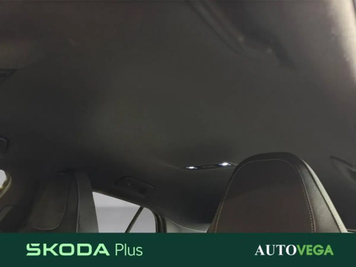 Skoda Fabia usata a Vicenza (16)