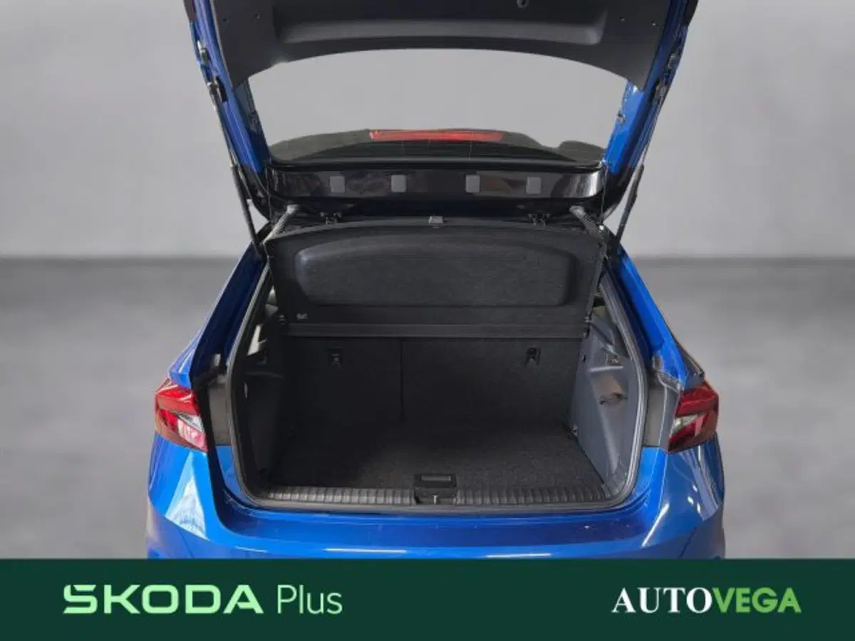 Skoda Fabia usata a Vicenza (17)