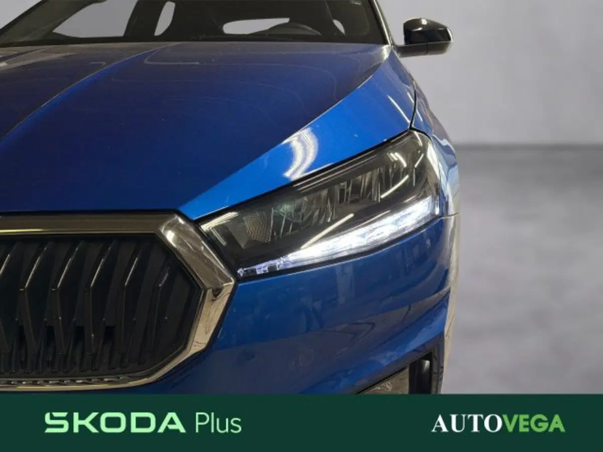 Skoda Fabia usata a Vicenza (19)