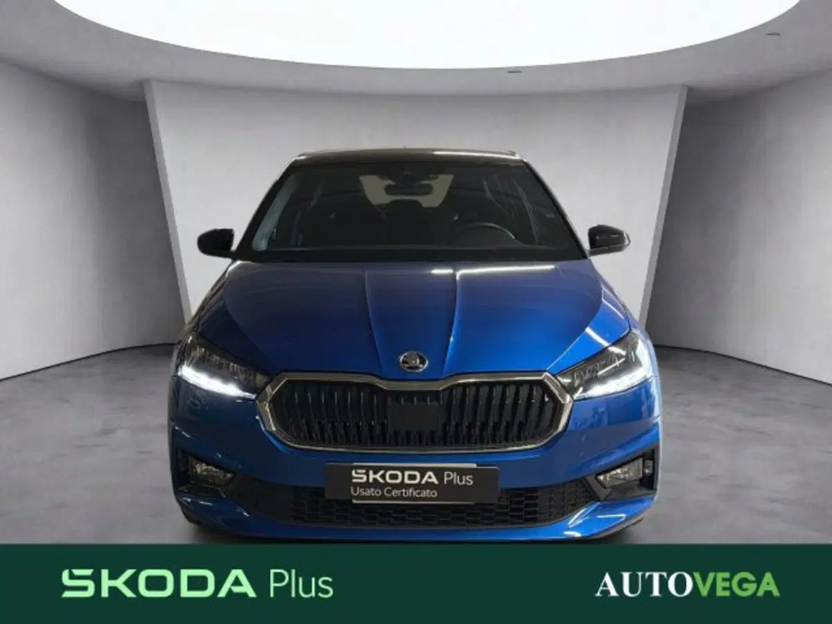 Skoda Fabia usata a Vicenza (2)