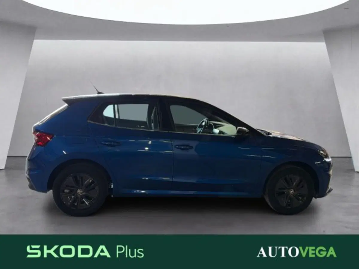 Skoda Fabia usata a Vicenza (3)