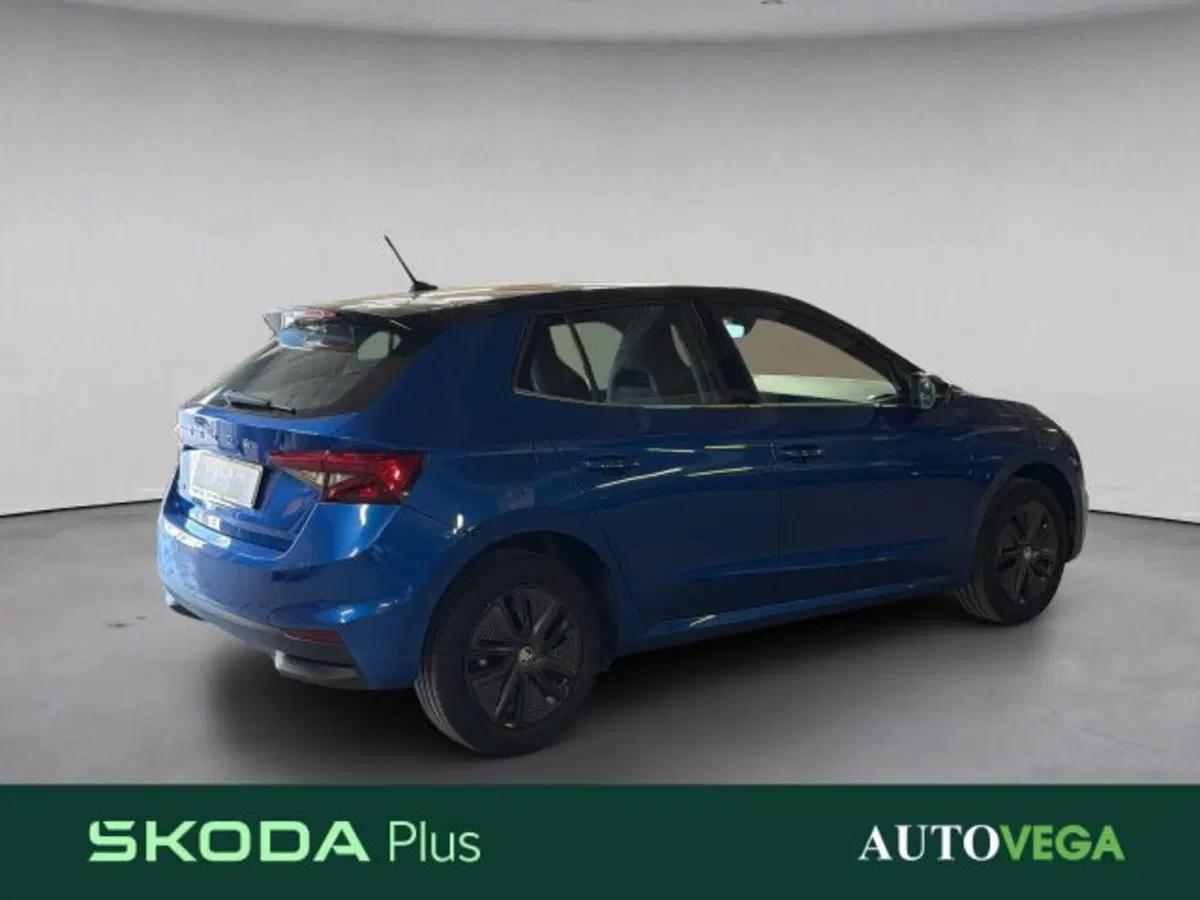 Skoda Fabia usata a Vicenza (4)