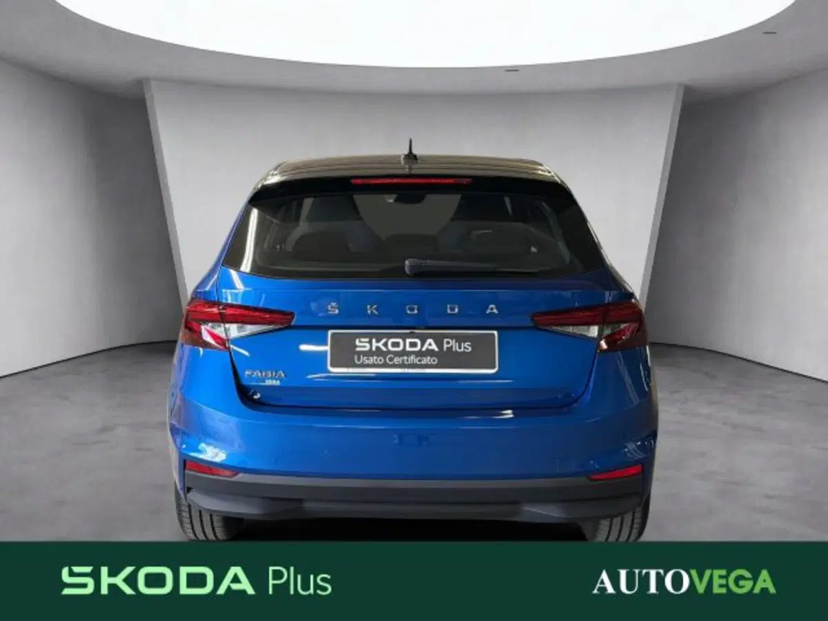 Skoda Fabia usata a Vicenza (5)