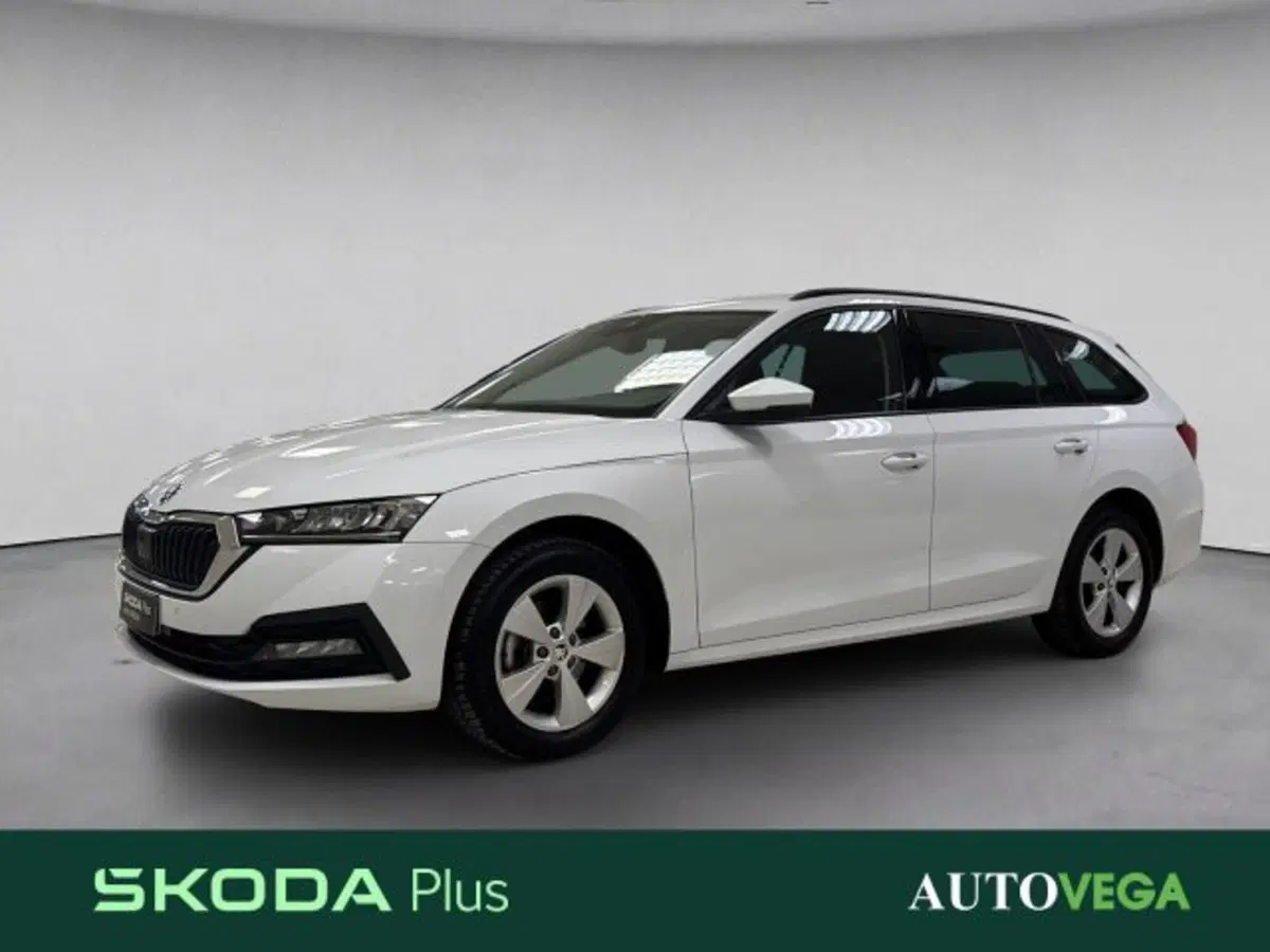 Skoda Octavia Station Wagon usata a Vicenza