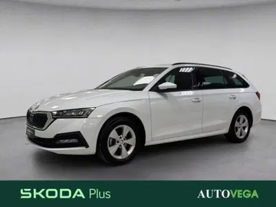 Skoda Octavia Station Wagon 2.0 TDI EVO SCR 150 CV DSG 4x4 Wagon Executive del 2023 usata a Arzignano