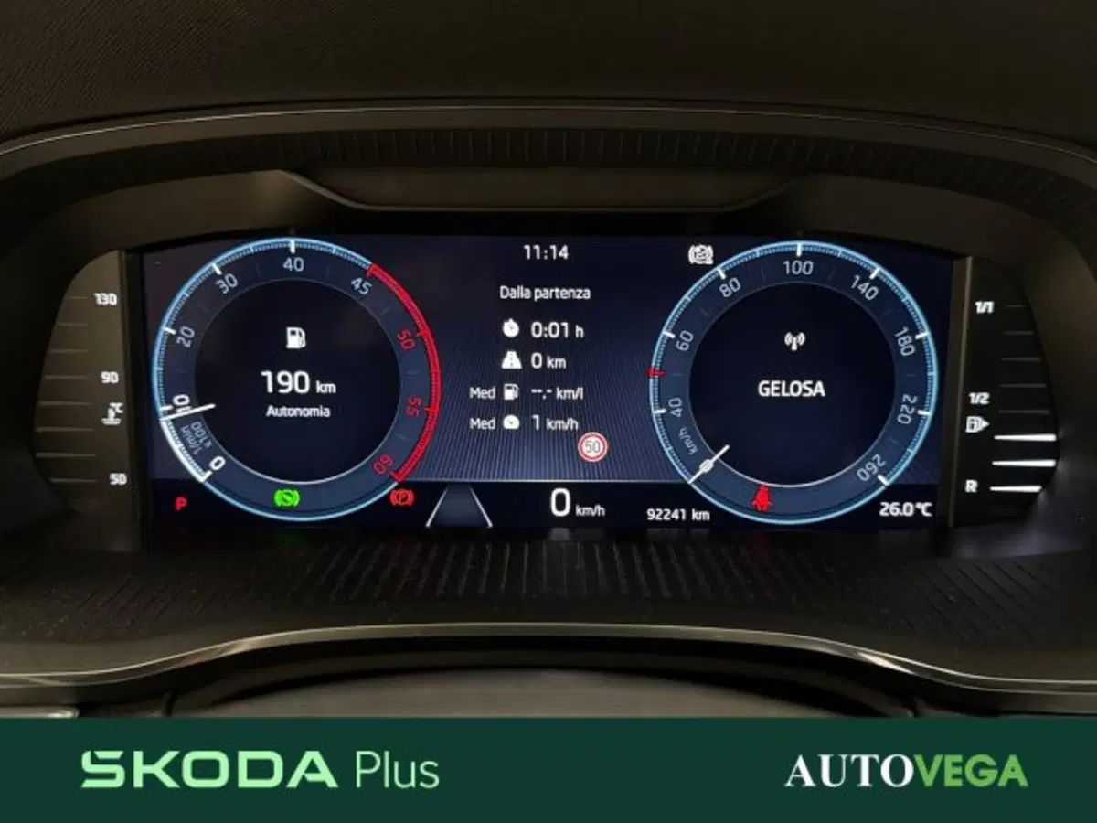 Skoda Octavia Station Wagon usata a Vicenza (14)