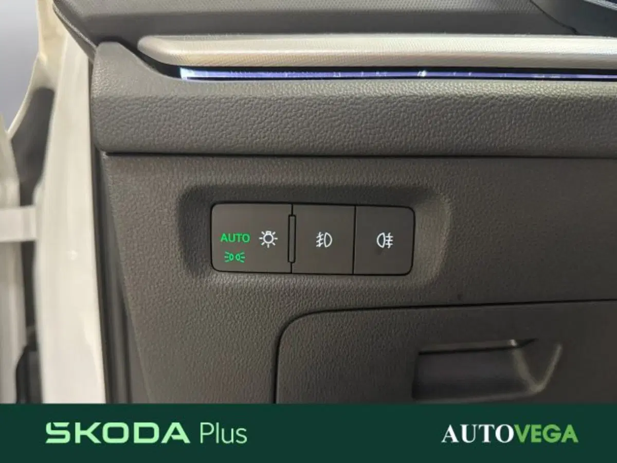 Skoda Octavia Station Wagon usata a Vicenza (16)