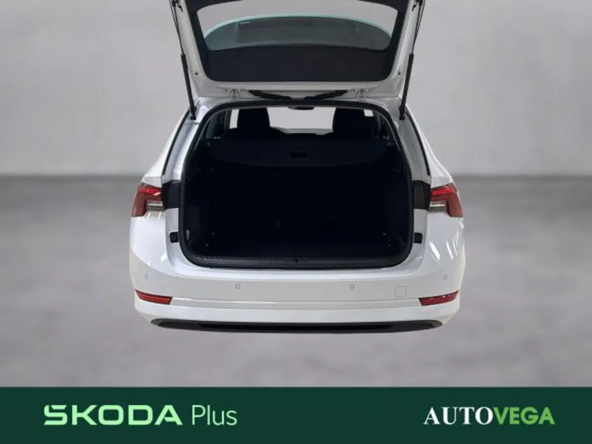 Skoda Octavia Station Wagon usata a Vicenza (17)