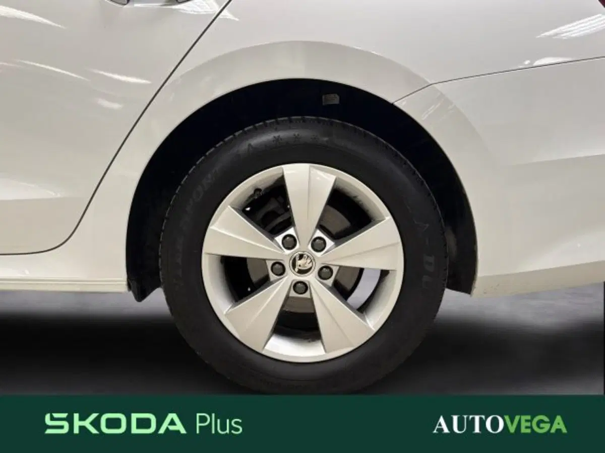 Skoda Octavia Station Wagon usata a Vicenza (18)