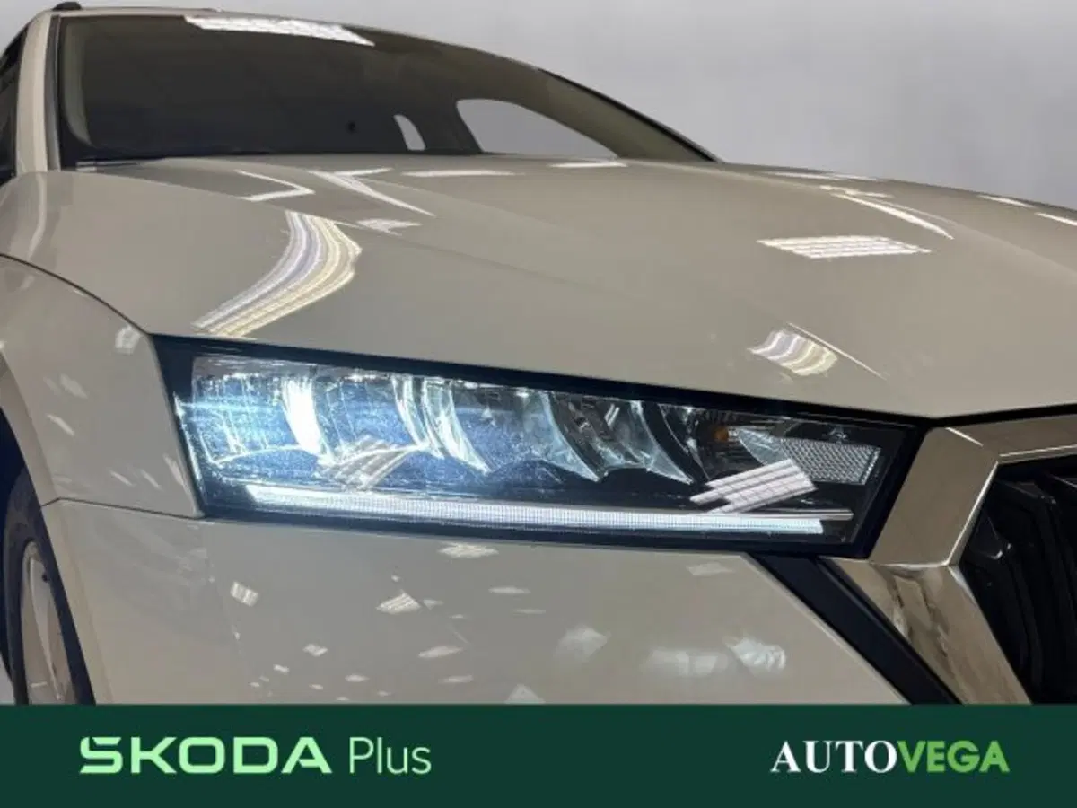 Skoda Octavia Station Wagon usata a Vicenza (19)