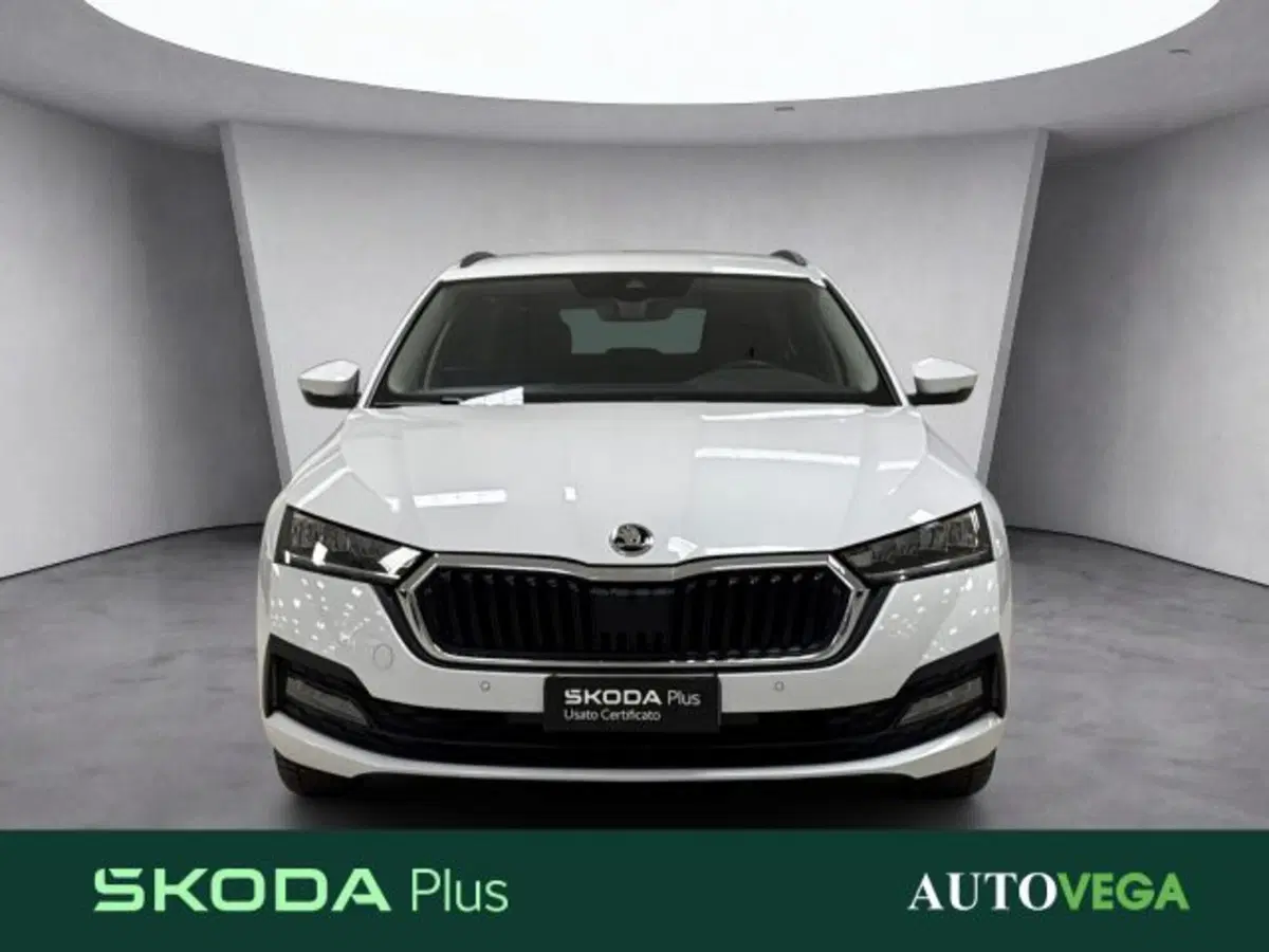 Skoda Octavia Station Wagon usata a Vicenza (2)