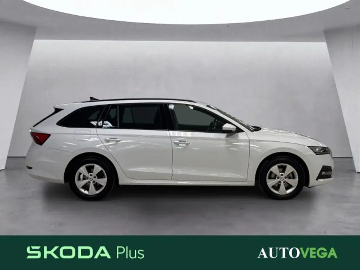 Skoda Octavia Station Wagon usata a Vicenza (3)