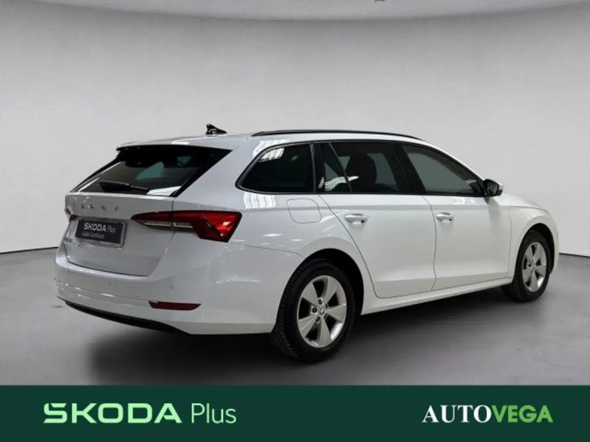 Skoda Octavia Station Wagon usata a Vicenza (4)