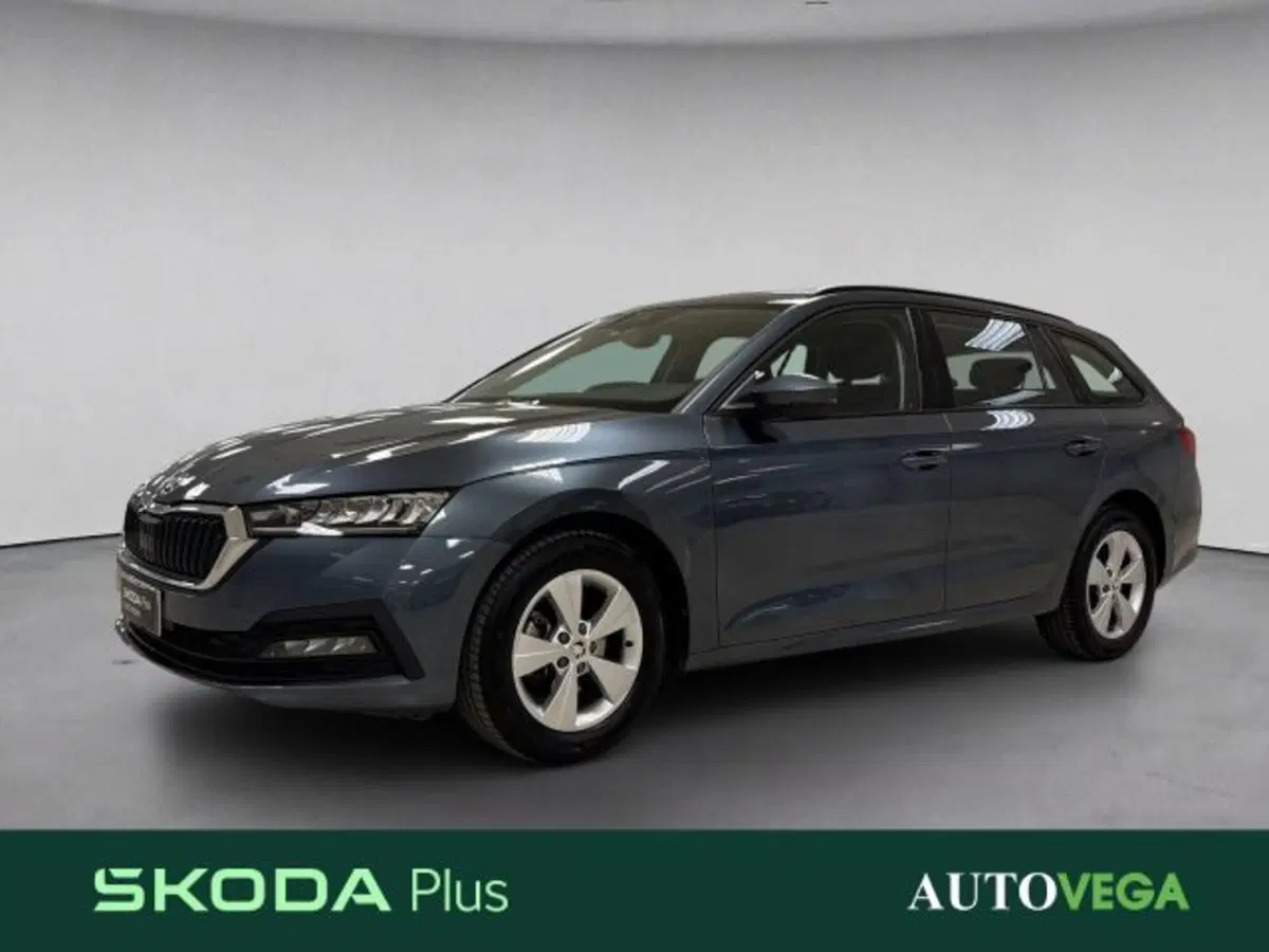 Skoda Octavia Station Wagon usata a Vicenza