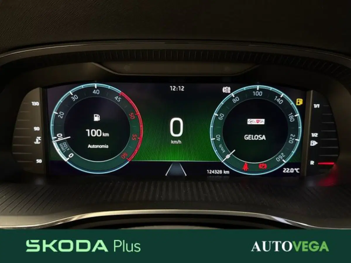 Skoda Octavia Station Wagon usata a Vicenza (14)