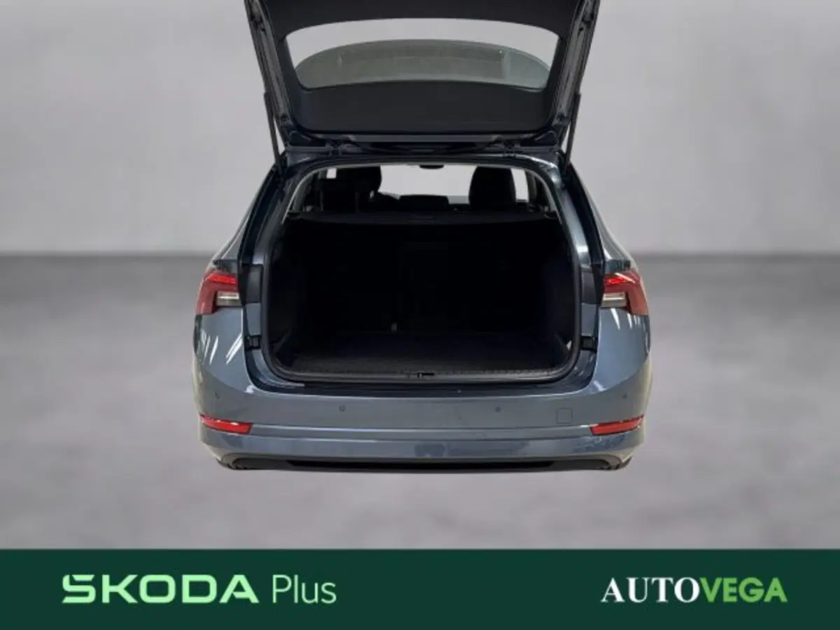Skoda Octavia Station Wagon usata a Vicenza (16)
