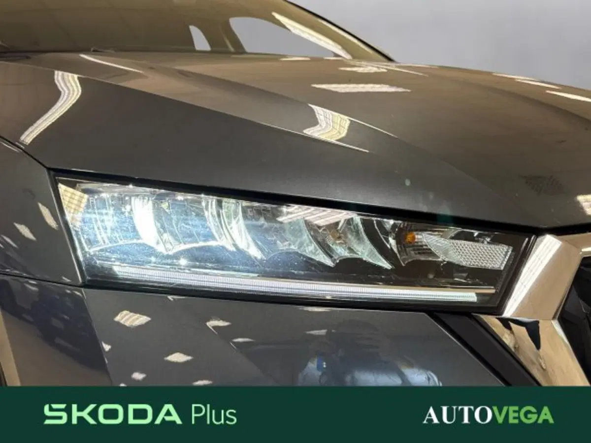Skoda Octavia Station Wagon usata a Vicenza (18)