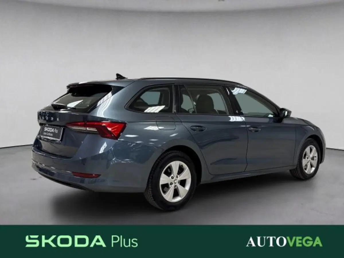Skoda Octavia Station Wagon usata a Vicenza (4)