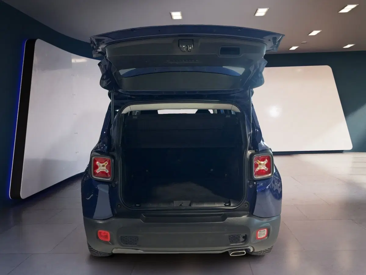Jeep Renegade usata a Torino (9)