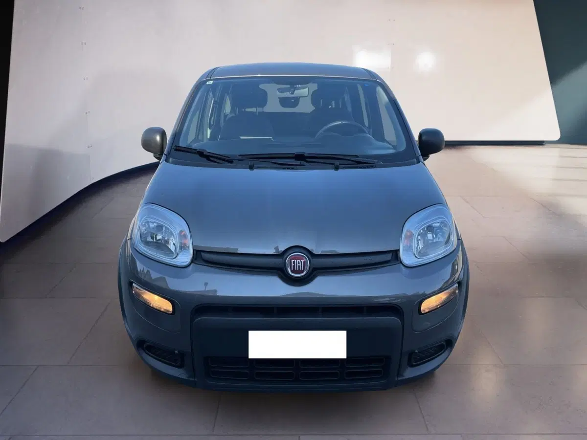 Fiat Panda Cross usata a Torino