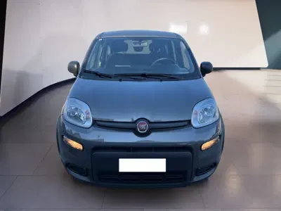 Fiat Panda Cross Cross 1.0 FireFly S&S Hybrid del 2022 usata a Torino