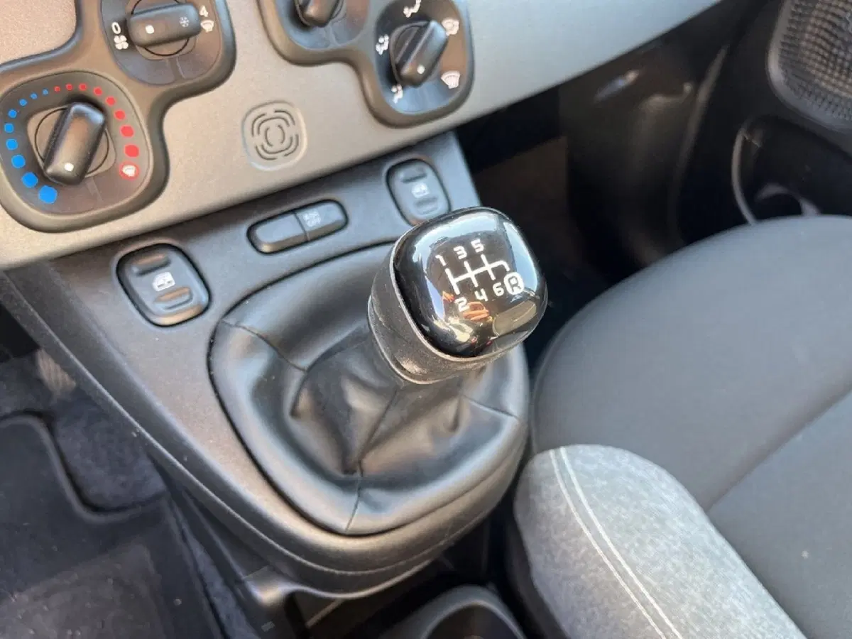 Fiat Panda Cross usata a Torino (11)