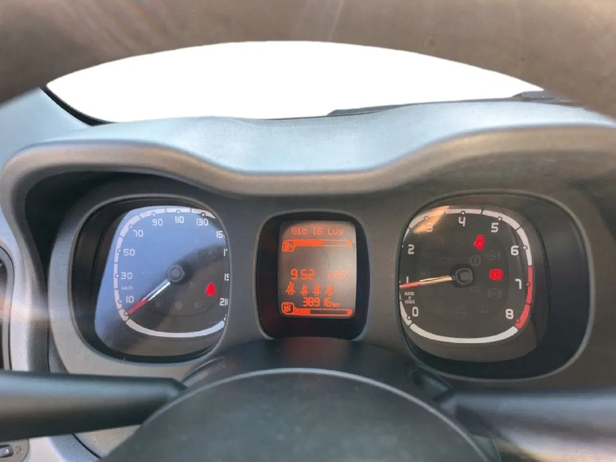 Fiat Panda Cross usata a Torino (13)