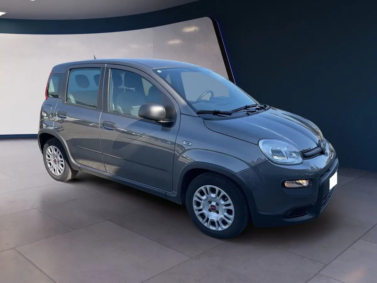 Fiat Panda Cross usata a Torino (2)