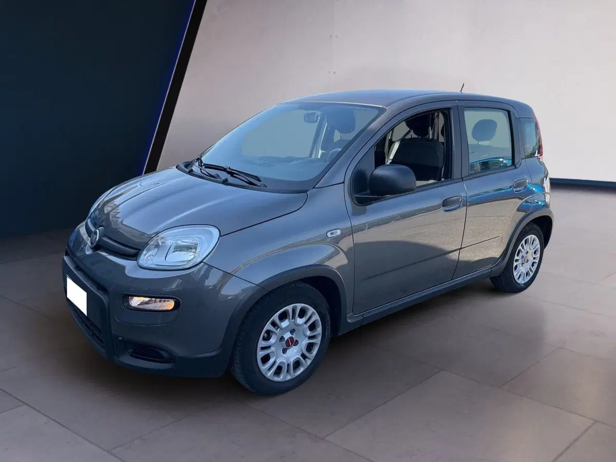 Fiat Panda Cross usata a Torino (3)