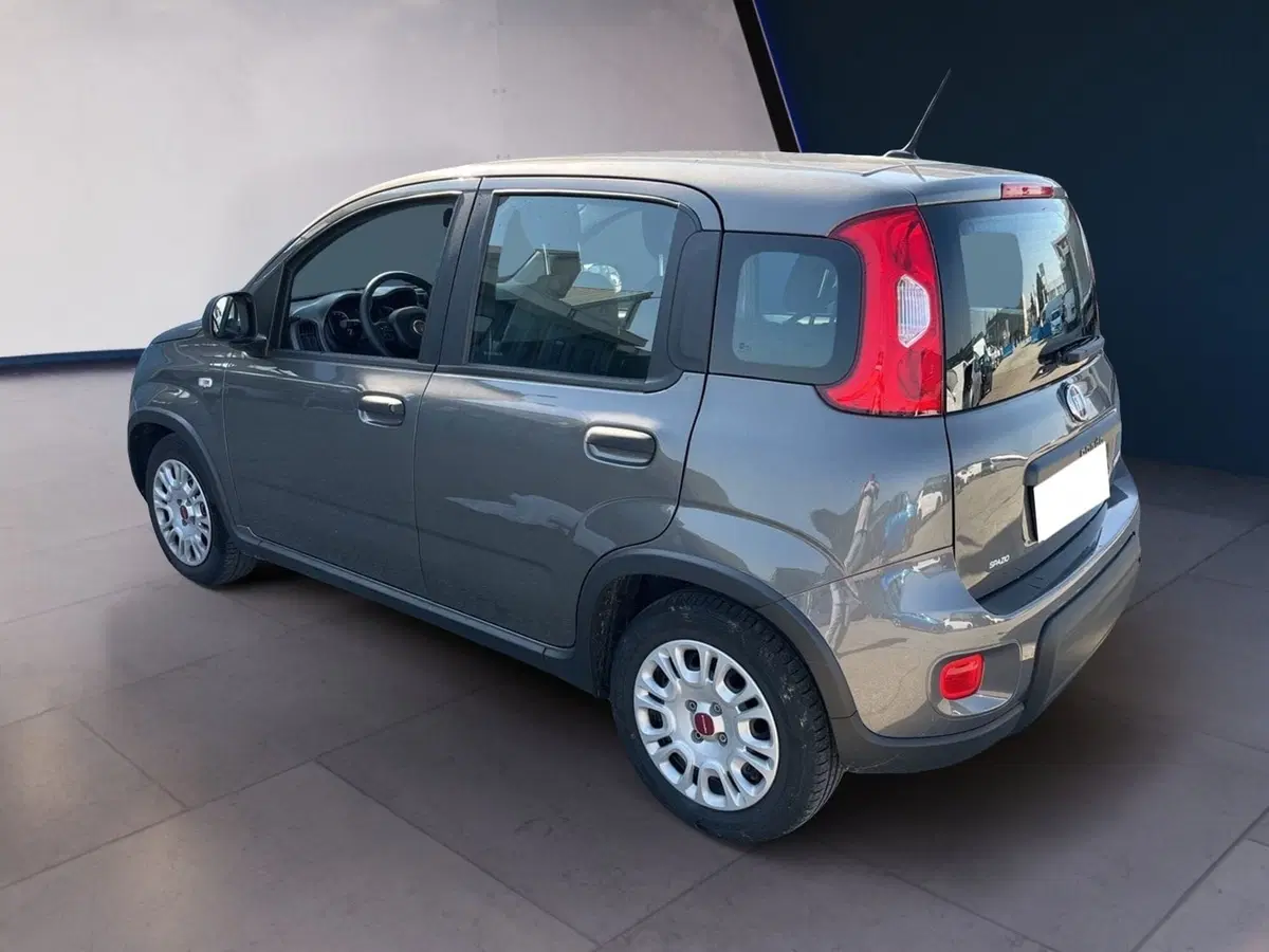 Fiat Panda Cross usata a Torino (4)