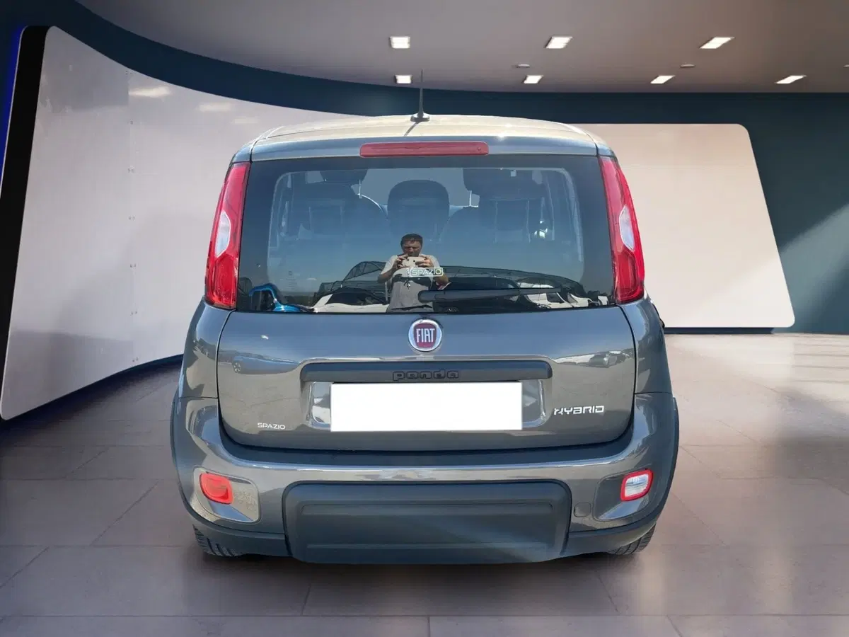 Fiat Panda Cross usata a Torino (5)