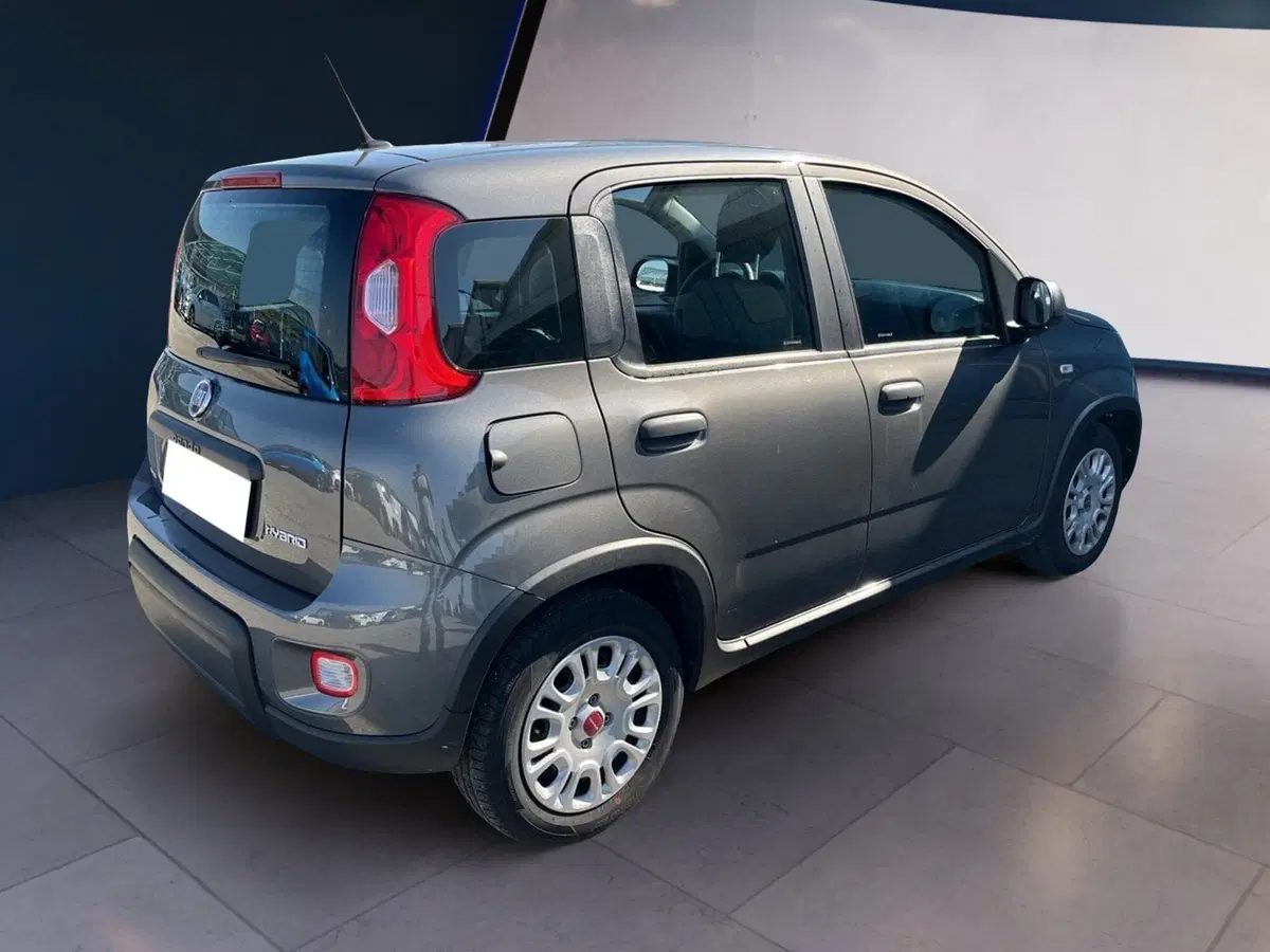 Fiat Panda Cross usata a Torino (6)