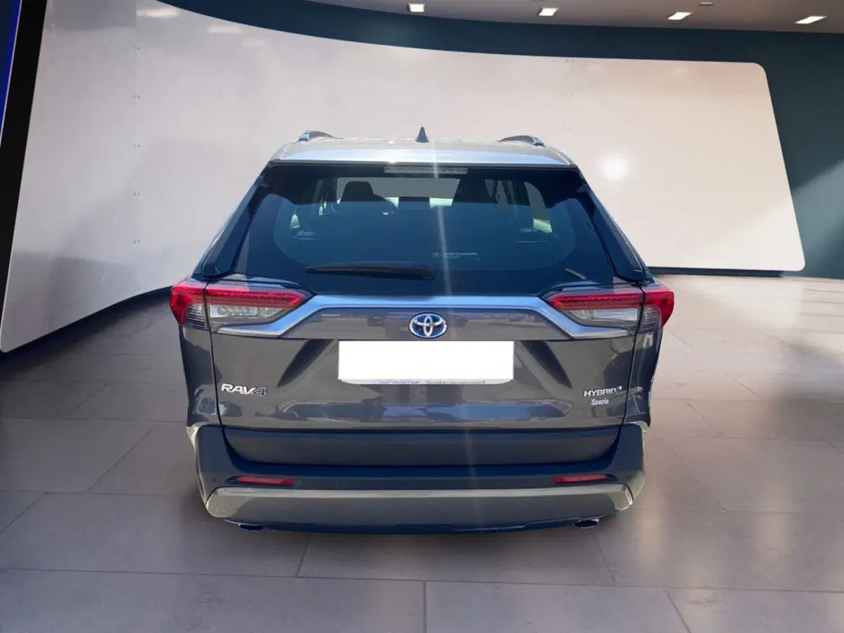 Toyota Rav4 usata a Torino (10)
