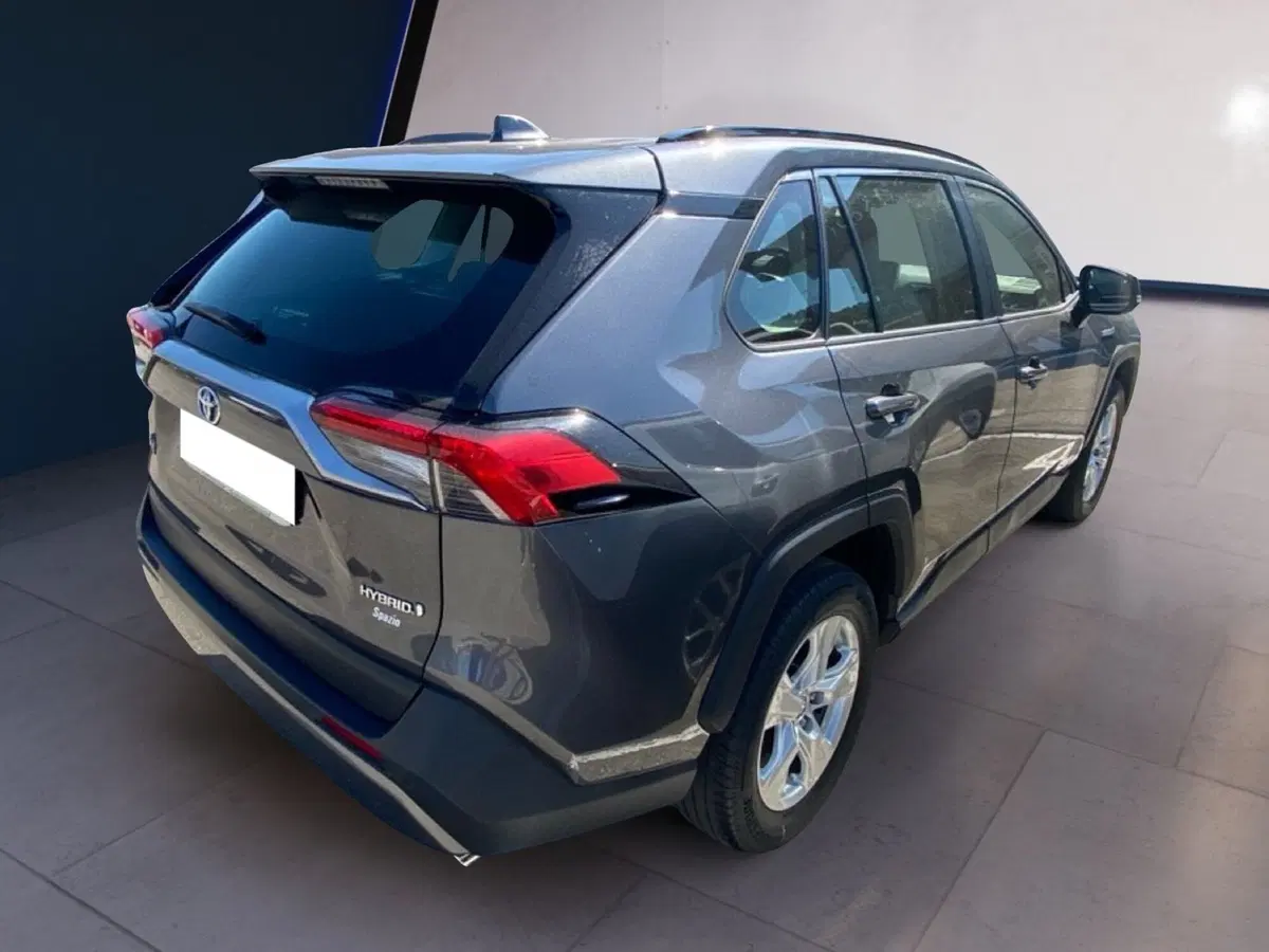 Toyota Rav4 usata a Torino (11)