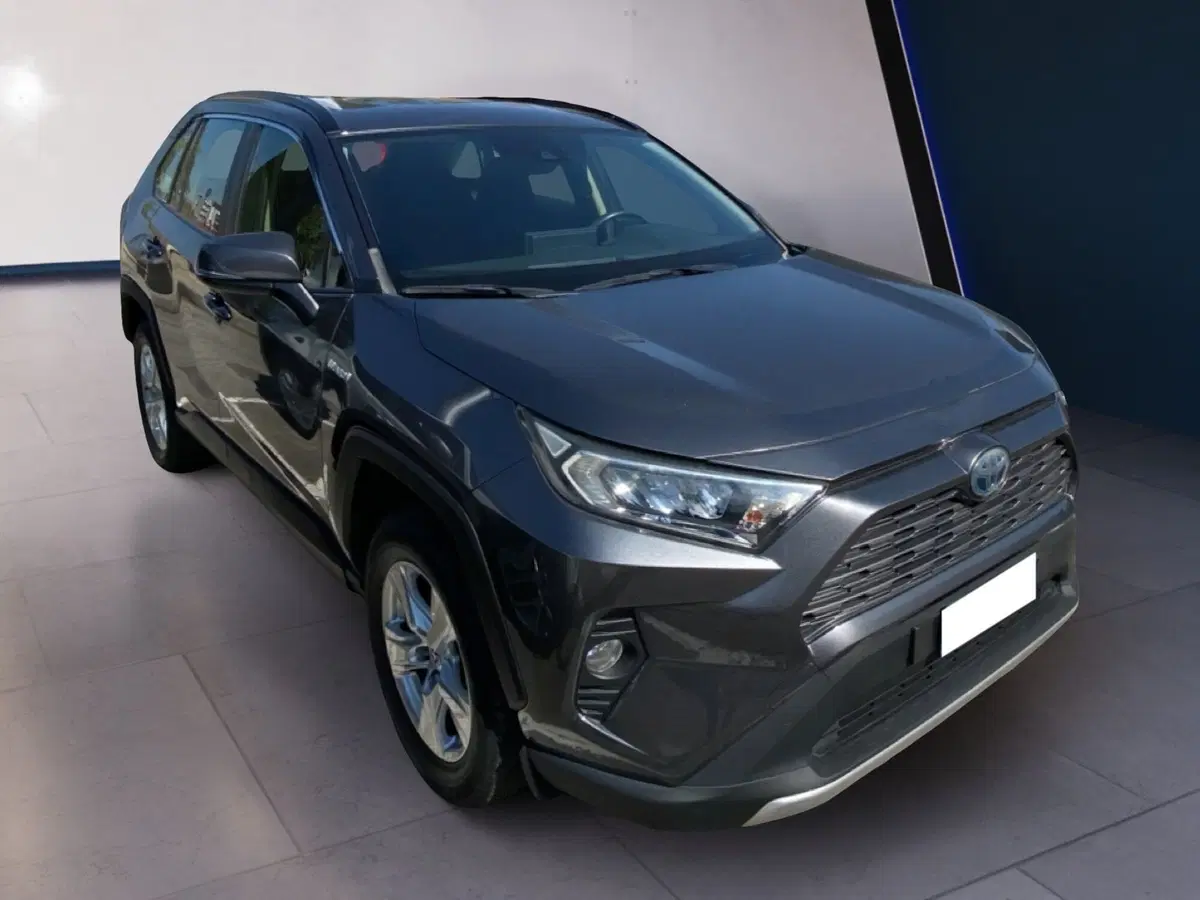 Toyota Rav4 usata a Torino (7)