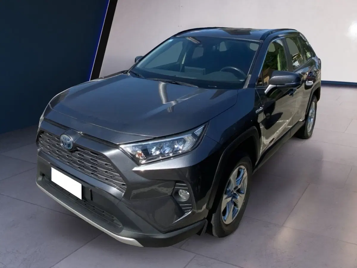 Toyota Rav4 usata a Torino (8)