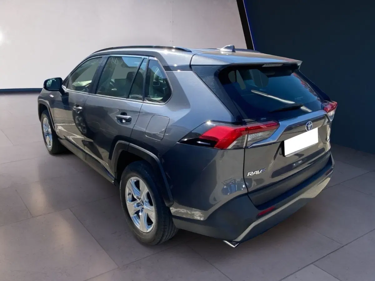 Toyota Rav4 usata a Torino (9)