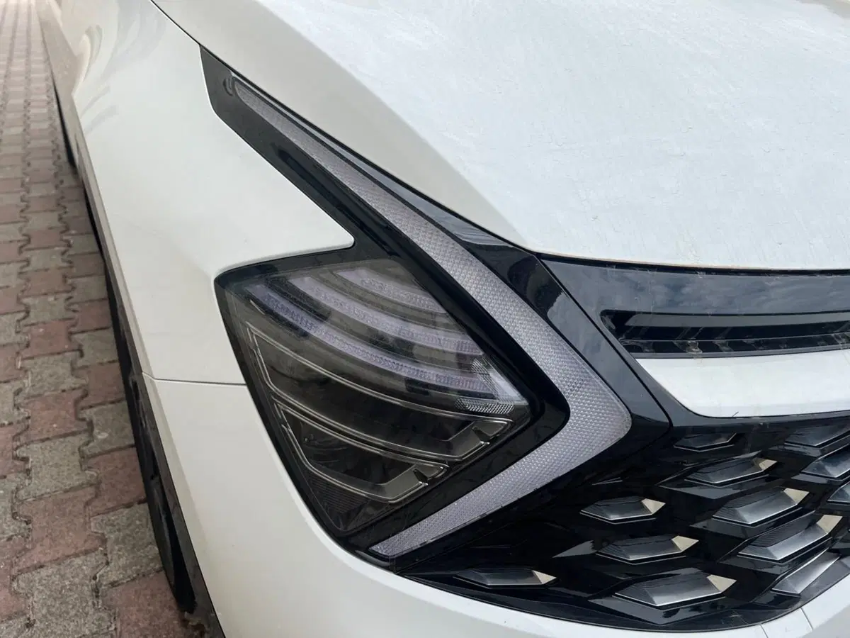 Kia Sportage usata a Siena (18)