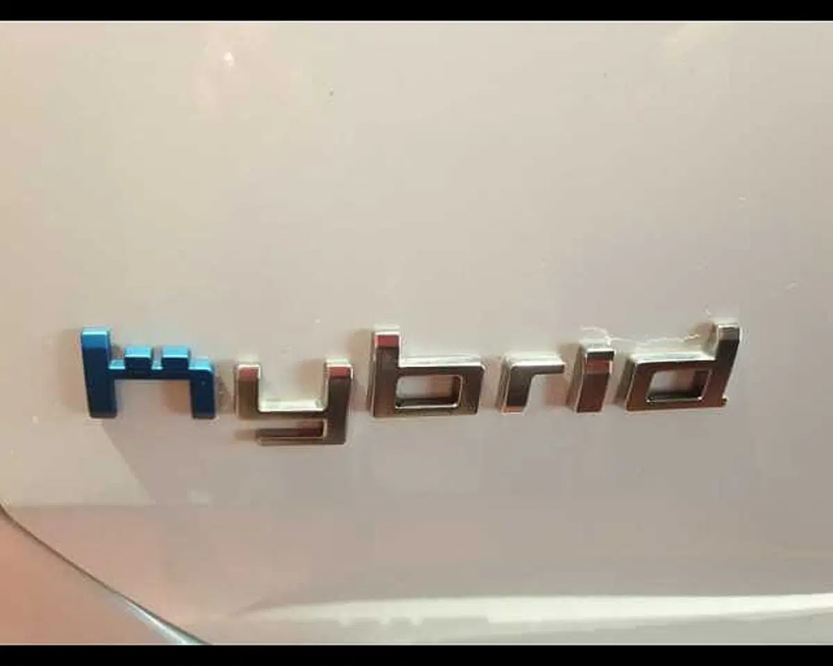 Citroen C5 Aircross usata a Cuneo (18)