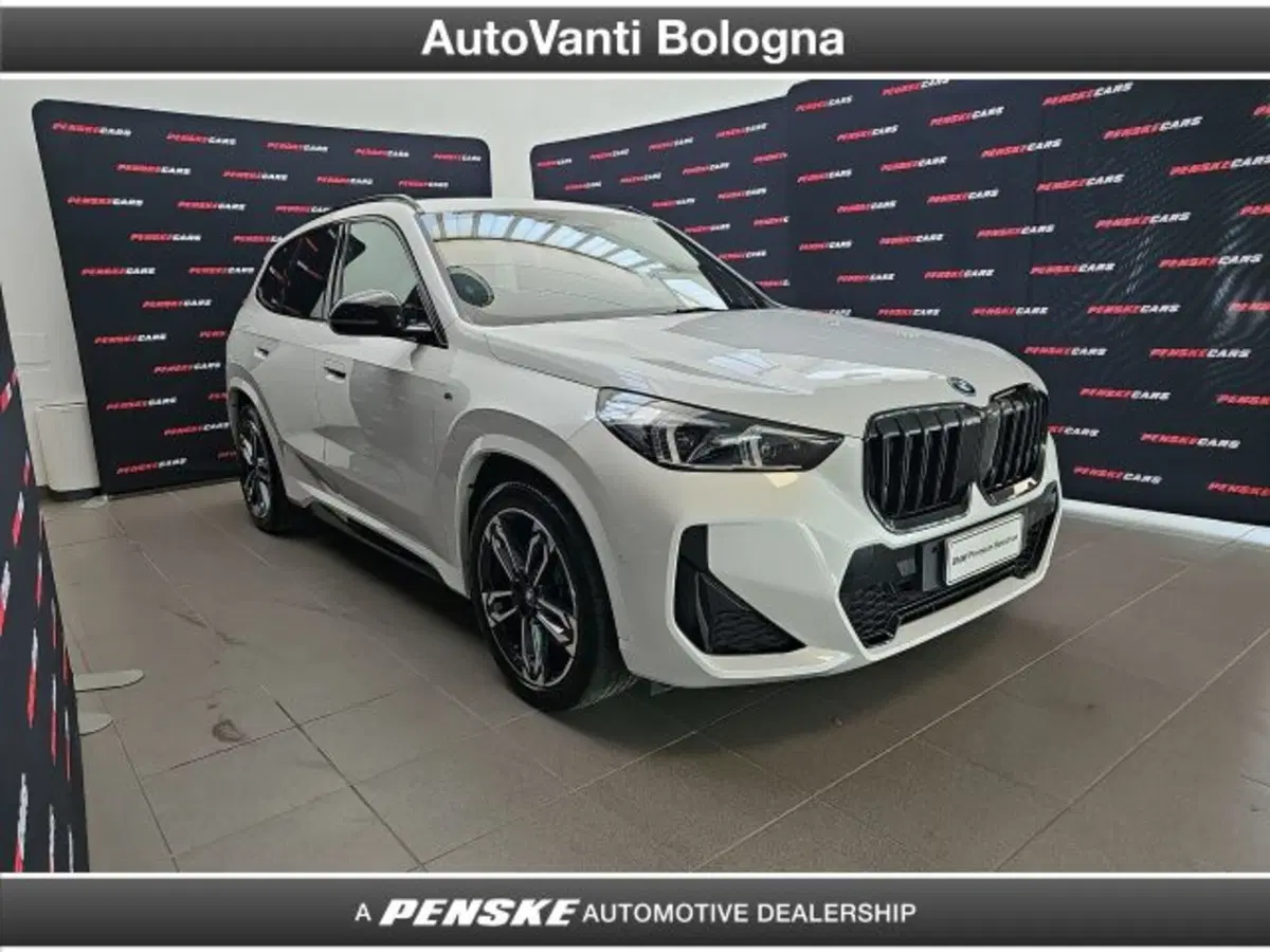 BMW X1 usata a Bologna (7)