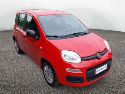 Fiat Panda 1.2 Easy del 2019 usata a Empoli