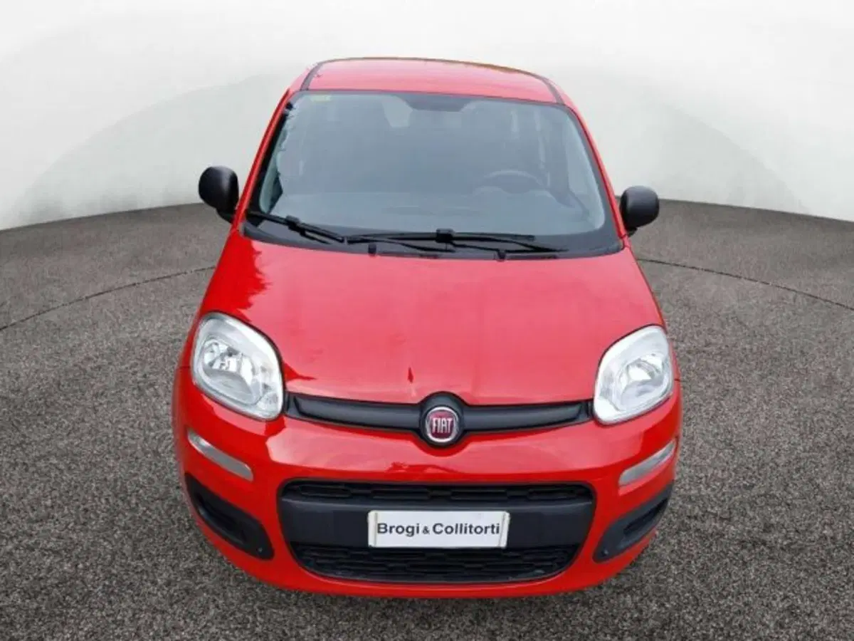 Fiat Panda usata a Firenze (2)