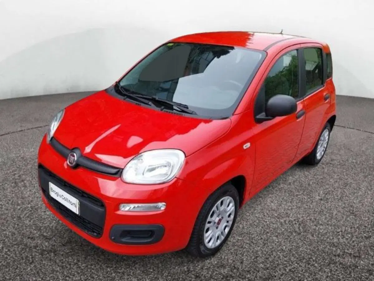 Fiat Panda usata a Firenze (3)