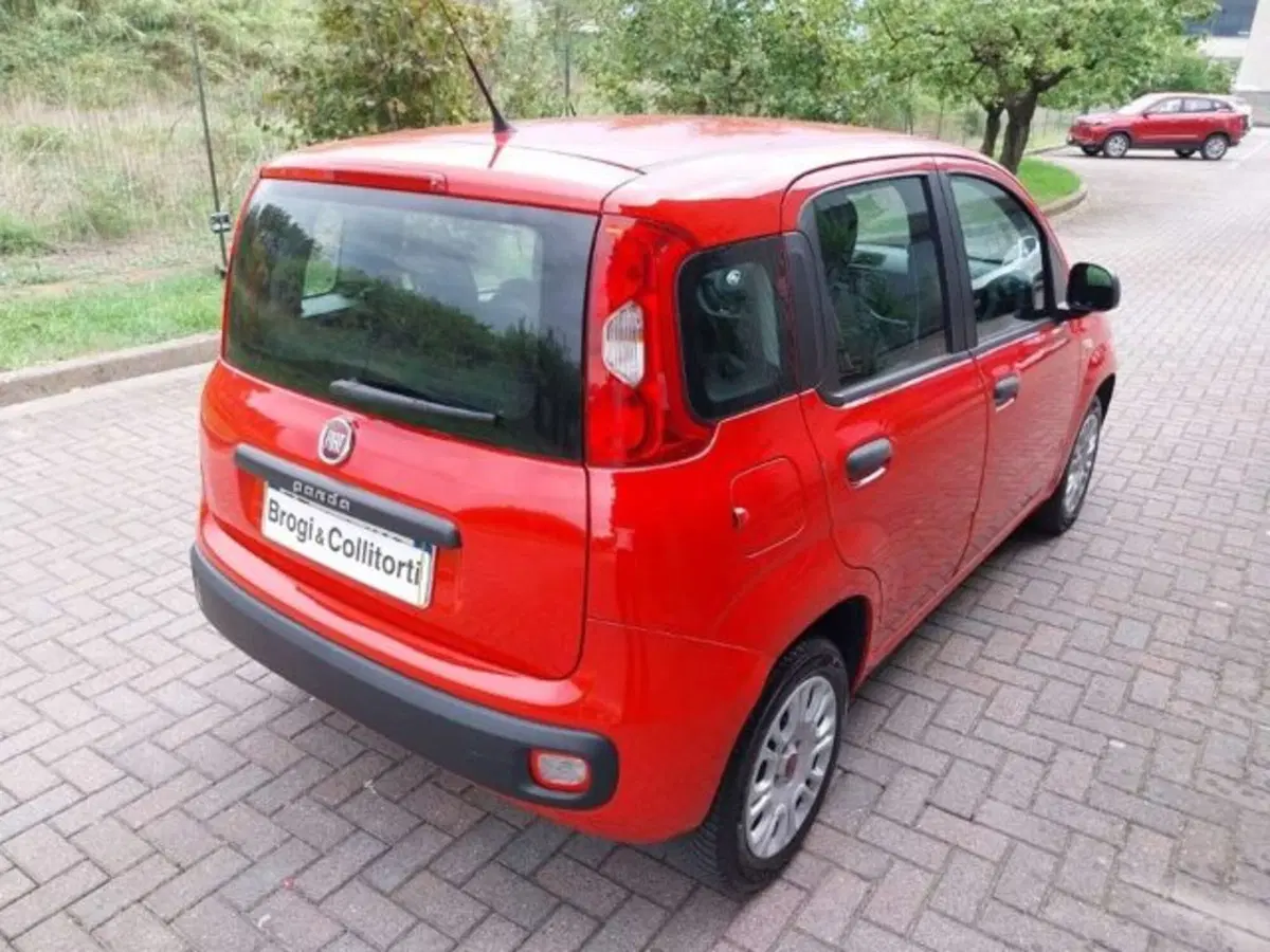 Fiat Panda usata a Firenze (6)