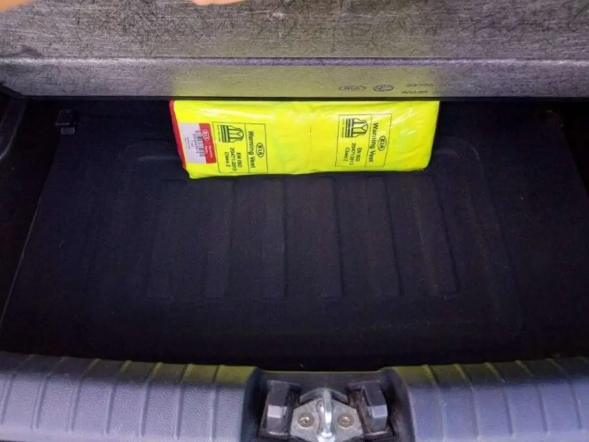 Kia Picanto usata a Firenze (10)