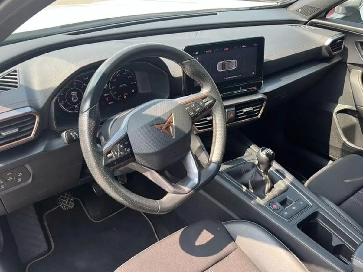 Cupra Formentor usata a Vicenza (11)