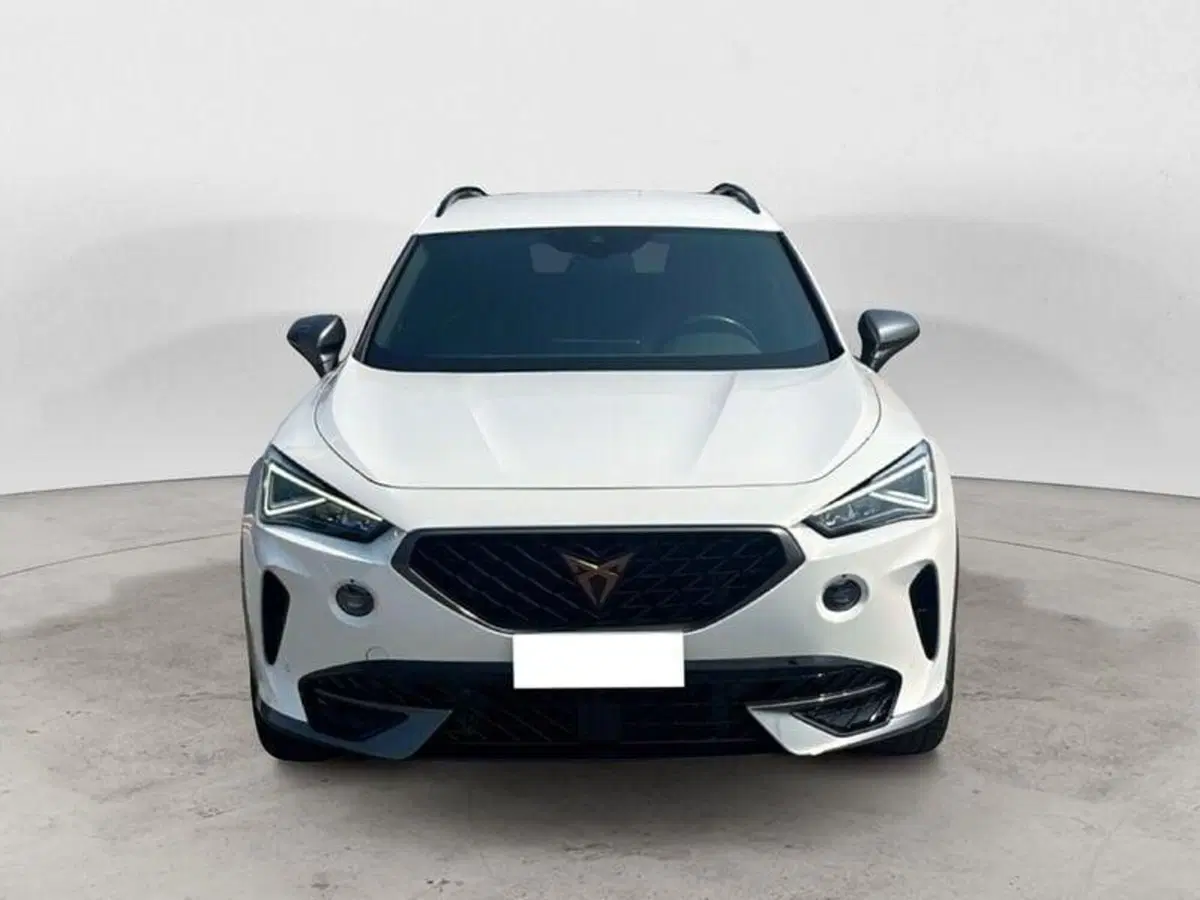 Cupra Formentor usata a Vicenza (7)