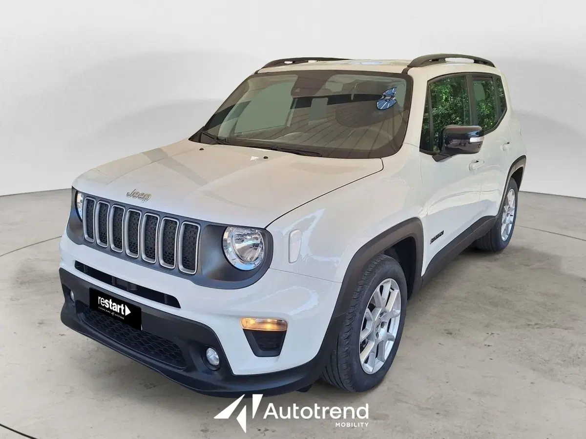 Jeep Renegade usata a Bari (15)