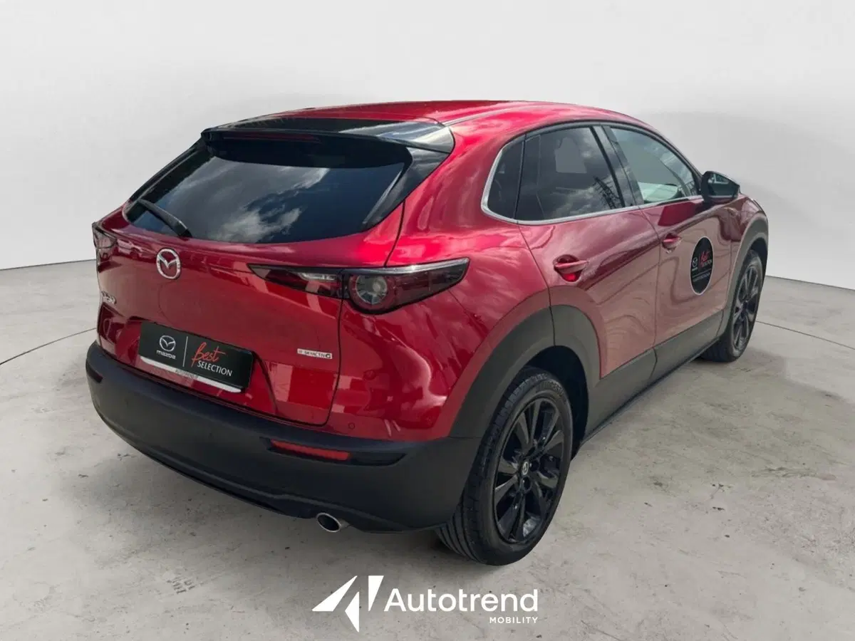 Mazda CX-30 usata a Bari (2)